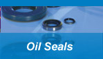 Oil Seals